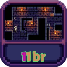 11br